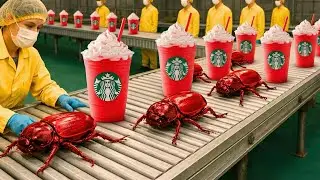 Inside the Factory Turning 100 Million Beetles Into Starbucks Dye Every Year