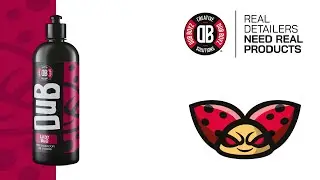 Dub Boyz Lady Bug | Remove Water Spots from Glass