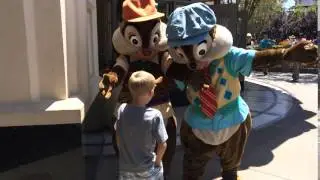 Chip and dale Cutler