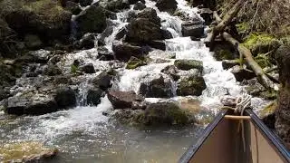 Medlock Spring 4-4-18