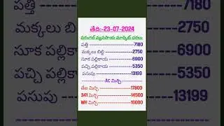 Today Warangal market rates #warangal #mirchi #todaymirchi #mirchirates