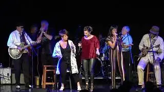 Mustang Sally   Ray Reed & Gator