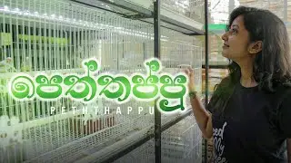 පෙත්තප්පු | Kujeetha Films