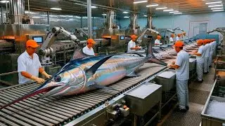 Inside the Swordfish Processing Factory: From Fresh Catch to Packaged Fillets (Full Process)