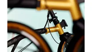 お昼みに　T Line Ceratech – Black and Gold を観察しよう！