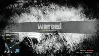 Gator2355 exposed again