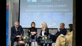 COP28 Outcomes Summit, panel 2: What should be the ambition for future COP summits?
