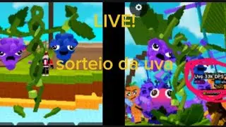 Sorteio do grape (33k por dano!)