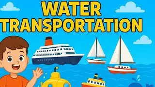 Water Transportation for Kids | Fun Learning with Boats & Ships!