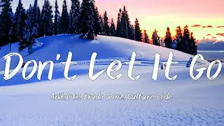 Don't Let It Go - Anikdote, Brado Sanz, Culture Code [Lyrics Music Video]