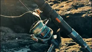 Папио с желтыми пятнами на JCISLANDLURES! Короткая сессия взбивания.