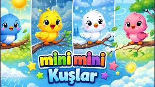 Tiny Little Birds | Fun Children's Song | Turkish Kids Songs