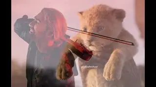 CIRCLE OF LIFE (Tributo a David Garrett)