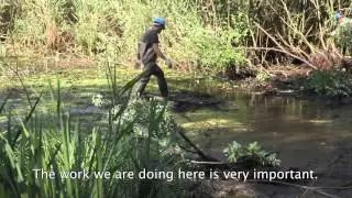 Danube River Basin WWF And Coca Cola