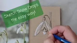 Draw along. How to draw Snow Drops, botanicals in real time. Drawing Tutorial.