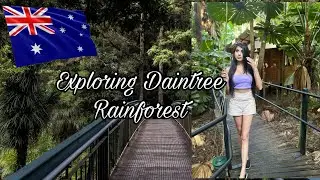 Cairns | Queensland | Australia Daintree Rainforest - Part 3