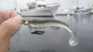 Catching 30 Plus Spotted Bay Bass On Finesse Lures