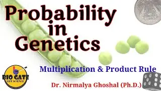 Probability in Genetics: Practice Problems #genetics