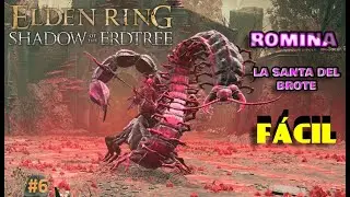 Jota VS Romina 🐛 | Shadow of the Erdtree ⚔️👹 #6