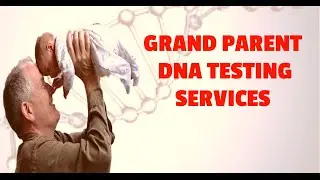Grandparent DNA Testing: Fast, Accurate and Affordable DNA Results