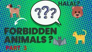 Halal Or Haram Islam Edition |islam quiz
