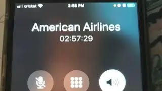 How American airlines answers calls.