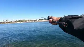 Long Beach Marina Stadium