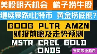 继续暴跌!比特币 黄金捞底麽? GOOG PLTR AMZN财报前瞻及走势预测！MSTR CRCL GOLD ONDS！02012026 #美股 #股票 #美股分析 #投資