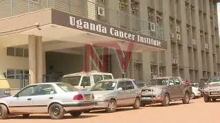Uganda Cancer Institute tests herbal products for cancer care