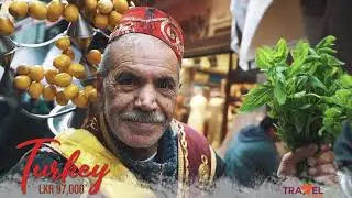 Experience the magic of Turkey with Travel Data