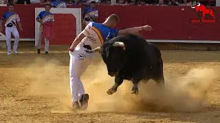 Concurso de cortes, quiebros y saltos. Laguna de Duero. 11 Mayo 2024