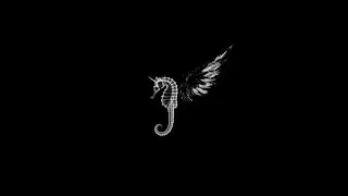 Born To Fly