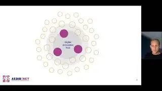 AEDIB|NET &ndash; What is a Digital Innovation Hub?