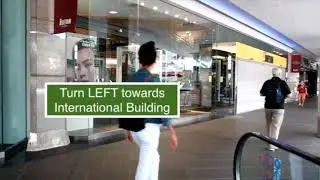 PainRelief Practice (International Building) via Orchard MRT
