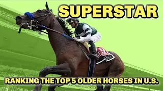 Flightline A True Superstar? | Ranking Top 5 Older Horses