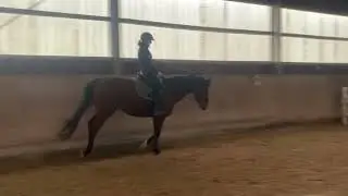 Bon Jovi - headshaking before and after biomechanical training
