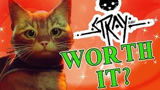 Is Stray Worth It? (Spoiler-Free Review)