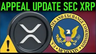 🚨XRP SEC APPEAL UPDATE🚨