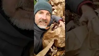 Quick Tip for Using Leaves in Compost