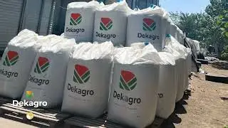 &Icirc;ngrășămintele granulate DEKAGRO - fertilizare completă și sustenabilă