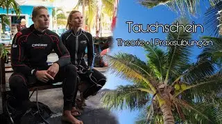 Wir beginnen mit unserem Tauchschein | Open Water Diver | Puerto Morelos, Mexiko 2022