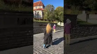Fall soon? #lifestyleblog #travelvlog #blogger #vlogicaday #estonianrussians #lifeinfinland