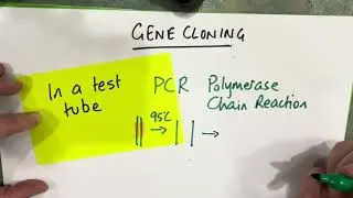 Gene Cloning introduction