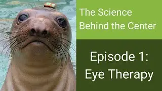 The Science Behind the Center: Breakthrough Eye Therapy