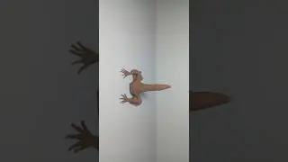 Epic Monster Transformation | Clay Animation!