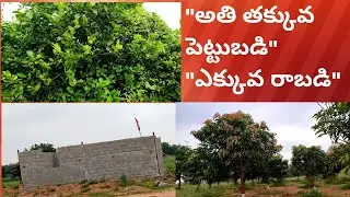 FARM LANDS| BEST INVESTMENT IDEA| @LOW PRICE|GOOD RETURNS| AFFORDABLE PRICE FARM LANDS| WOMENWONDERS
