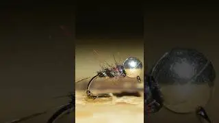 Killer Nymph #flyfishing #flytying #flytyingtutorial