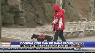 Dog walking dangers