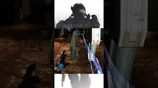 Halo MCC Infection