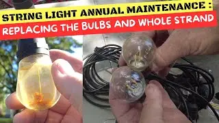 String Light Annual Maintenance / Replacing LEDs Bulbs And Whole Strand